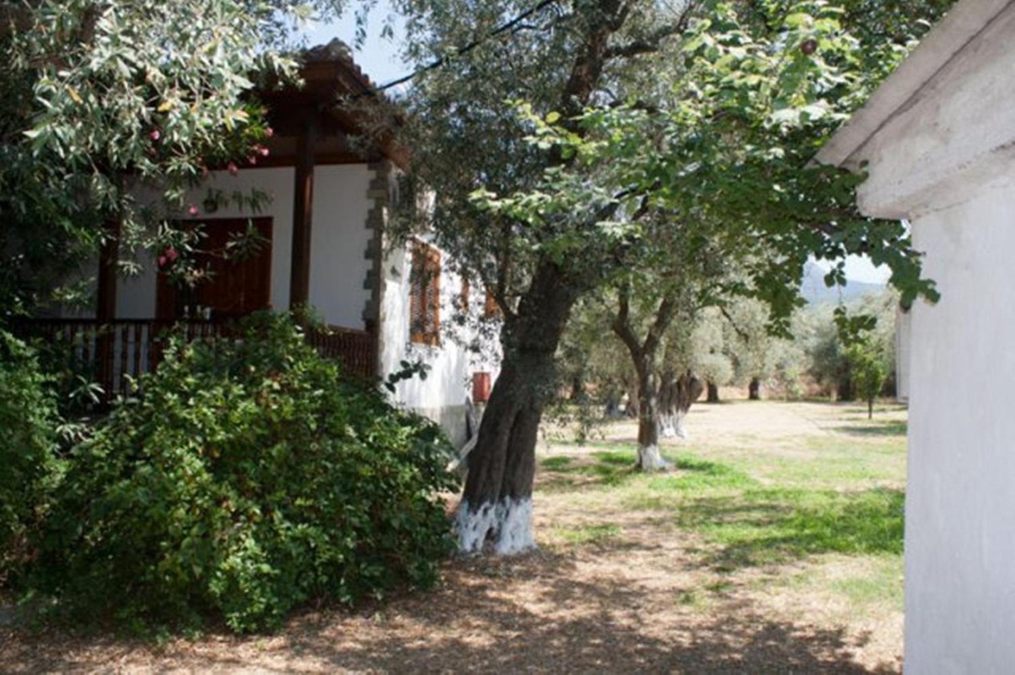 Patroudis House Apartment Skala Rachoni  ภายนอก รูปภาพ