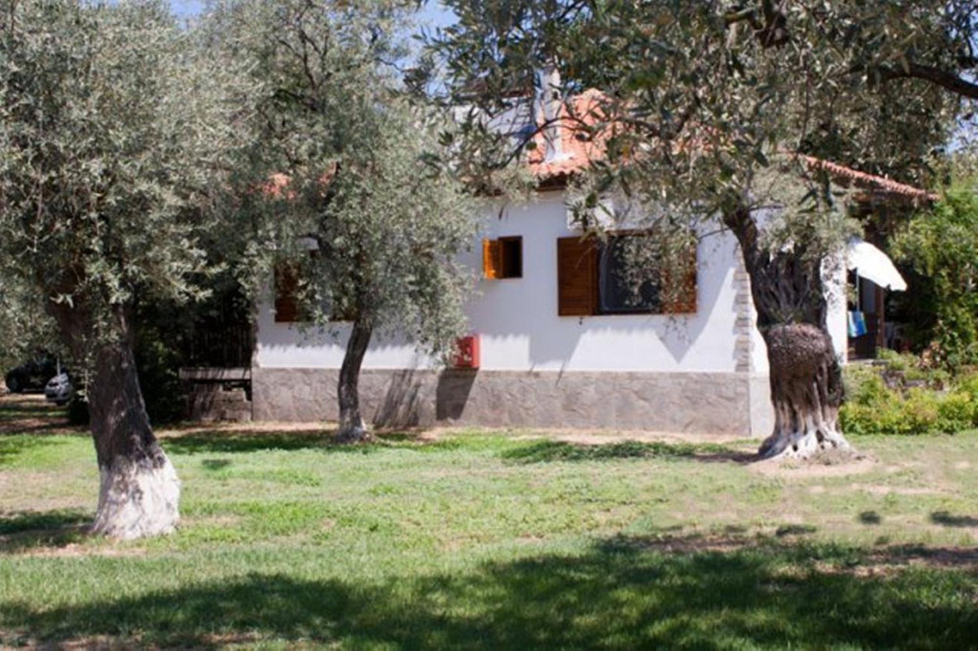 Patroudis House Apartment Skala Rachoni  ภายนอก รูปภาพ